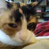 Grandma _7 - @sandimorton639 - TikTok