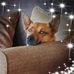 Sandi Oliver - Facebook