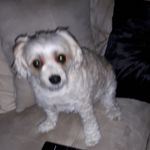 Sandi Olson - @sandiolson5 - Instagram