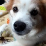 Sandi Olson - @sandi.olson78 - Instagram