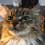 Sandi Page - @sandi.page - Instagram
