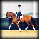 Sandi Page - @sandi.page.9 - Instagram