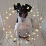 Sandi Paul - @sandi.paul.798 - Instagram