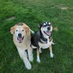 Sandi Payne - @sounders212 - Instagram