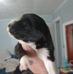 Sandi Payne - Facebook
