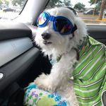 Sandi Perry - @sandi.perry.90 - Instagram