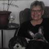 Sandi Petersen - @mysaragirl - TikTok