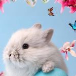Sandi Petersen-Perry - @sandipetersenperry - Instagram