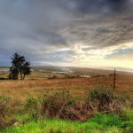 Sandi Petersen Photography - @eel_river_valley_wildlife - Instagram