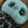 sandipetersen - @randomboos - TikTok