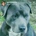 Sandi Phelps - Facebook