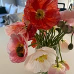 Sandi Phillips - Facebook