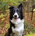 Sandi Porter - Facebook