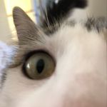 Sandi Porter - @sjp4950 - Instagram