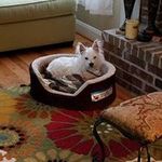 Sandi Porter Long - @long44701 - Instagram