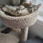 Sandi Potter - @sandi.potter.524 - Instagram