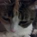 Sandi Pratt - Facebook