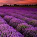Sandi Queen - Facebook