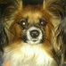 Sandi Quinn - Facebook