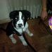 Sandi Quinn - Facebook