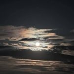 Sandi Raymond - @sandra.raymond.5 - Instagram