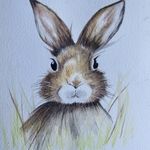 Sandi Armina Ridge - @animalart2121 - Instagram