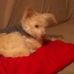 Sandi Ridge - Facebook