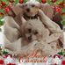 Sandi Ridge - Facebook
