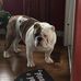 Sandi Ryan - Facebook