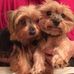 Sandi Ryan - Facebook