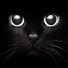 Sandi Sands355 - @sandisands355 - TikTok