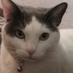 Sandi Savage - @sandi.savage.9 - Instagram