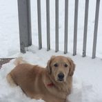 Sandi Savage - Facebook