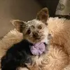 Sandi Sellers - @sandi.sellers - TikTok