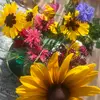 Sandi Sellers - @sandi.sellers1 - TikTok