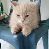 Sandisimon Sufi Sufi - @sandisimon.sufi.s - TikTok