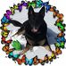 Sandi Small - Facebook