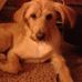 Sandi Small - Facebook