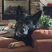 Sandi Small - Facebook