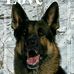 Sandi Small - Facebook