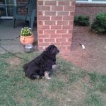 Sandi Smith Smallwood - @sandismithsmallwood - Instagram