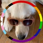 Sandi Snow - @sandisnow52 - Instagram