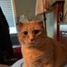 Sandie Spears - Facebook