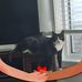Sandi Spence - Facebook