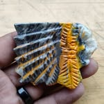 𝕾𝖆𝖓𝖉𝖎 𝕾𝖙𝖊𝖎𝖓𝖊𝖗 - @sandi_steiner22 - Instagram