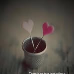 Sandra Steller - Facebook