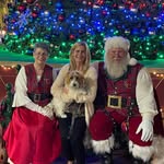 Sandi Dunnigan Stephens - @momtoapollo - Instagram