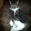 sandi_l_stephens@yahoo.com - @sandi_l_stephensy - TikTok