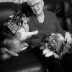Sandi Stephens - @ambersheltiemom - Instagram