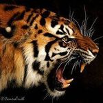 Sandi Stephens Priddy - @sandi_priddy - Instagram